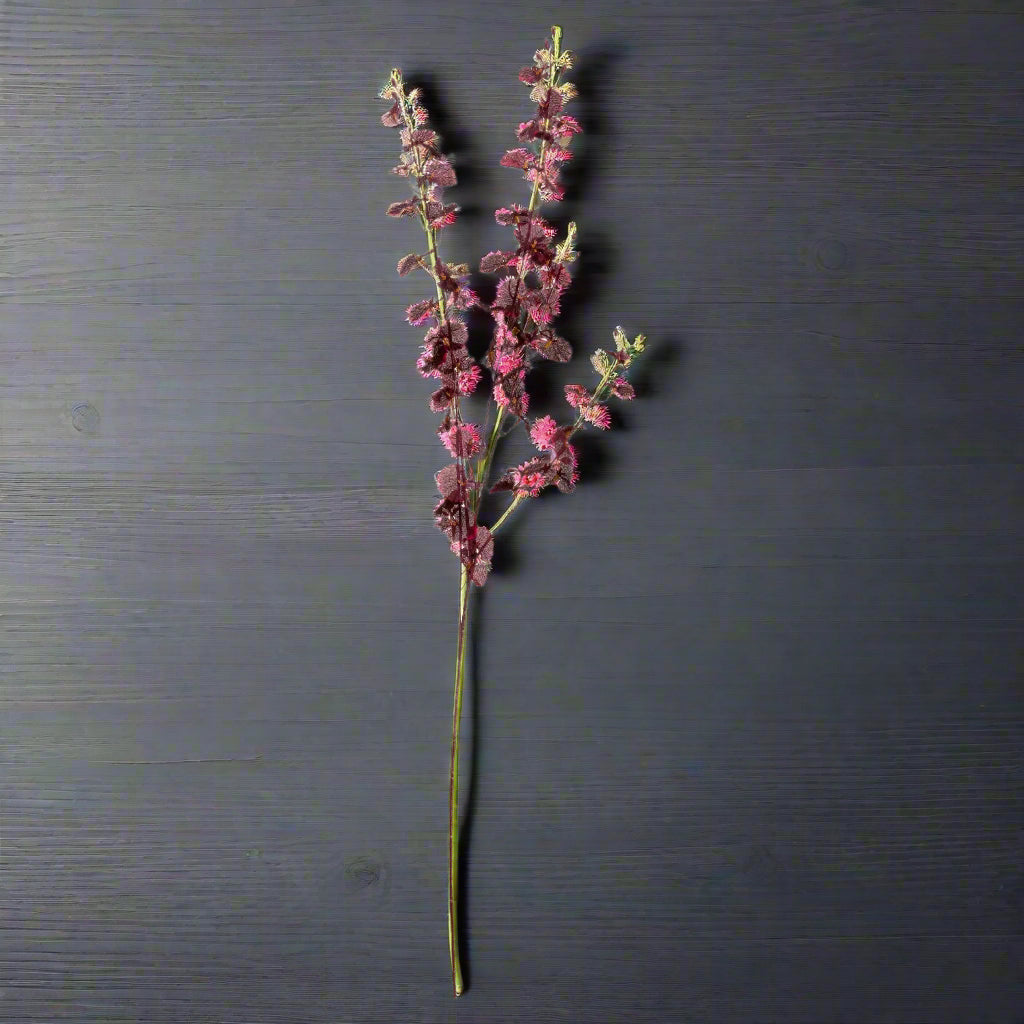 Deep Burgundy Orchid Spray