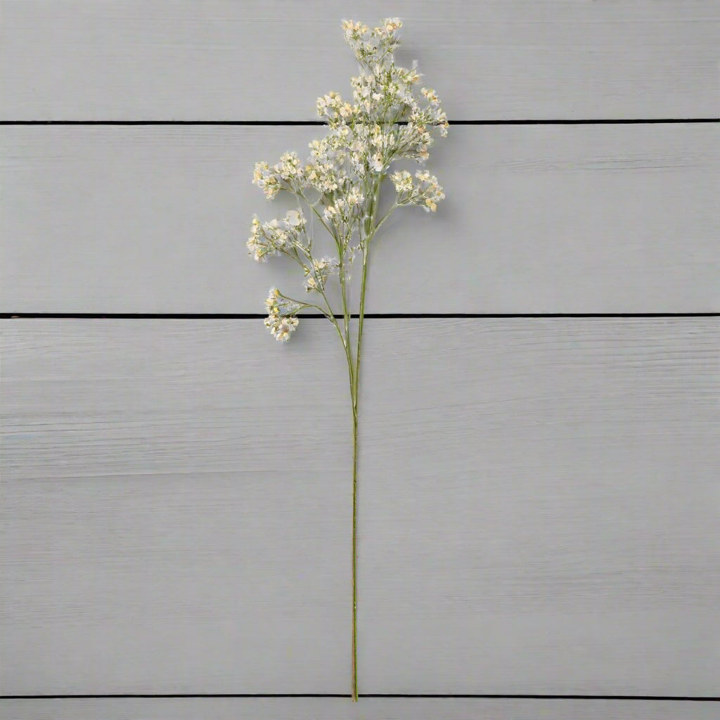 White Gypsophila Spray