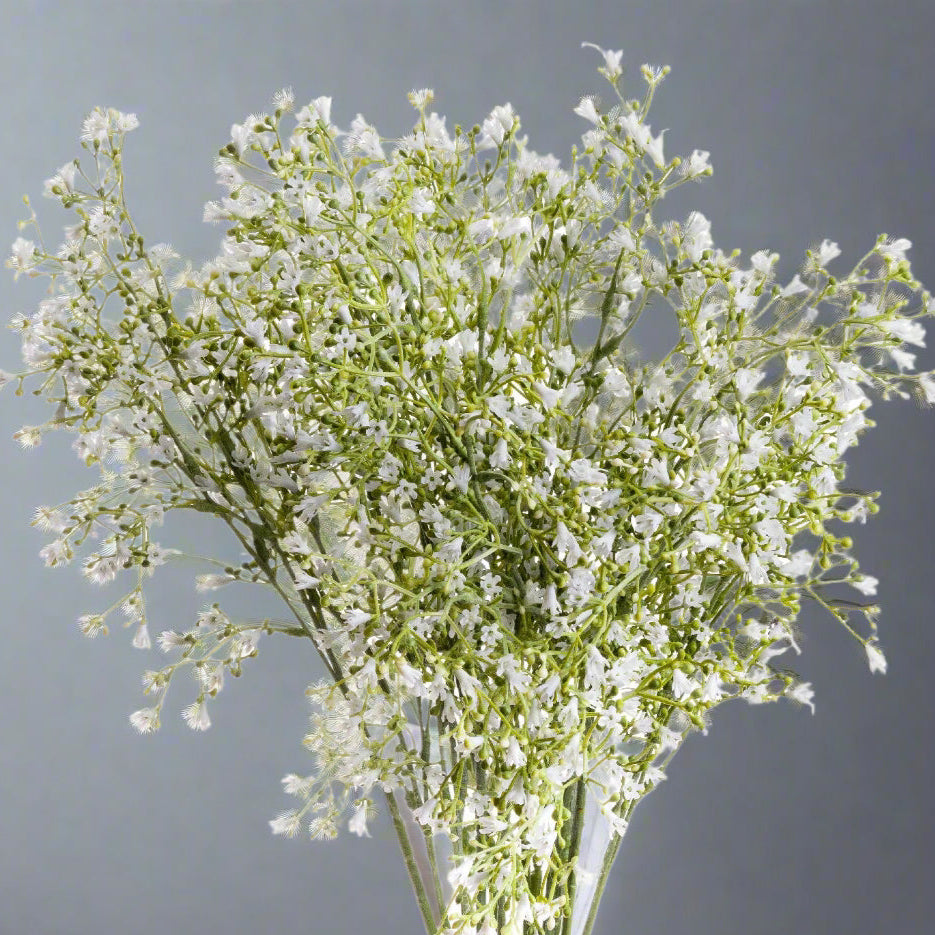 White Gypsophila Spray