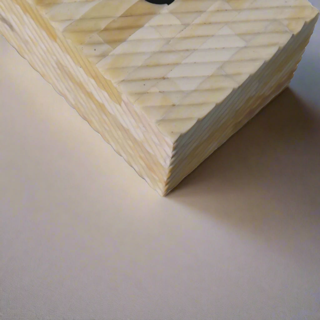 Bone Inlay Tissue Holder