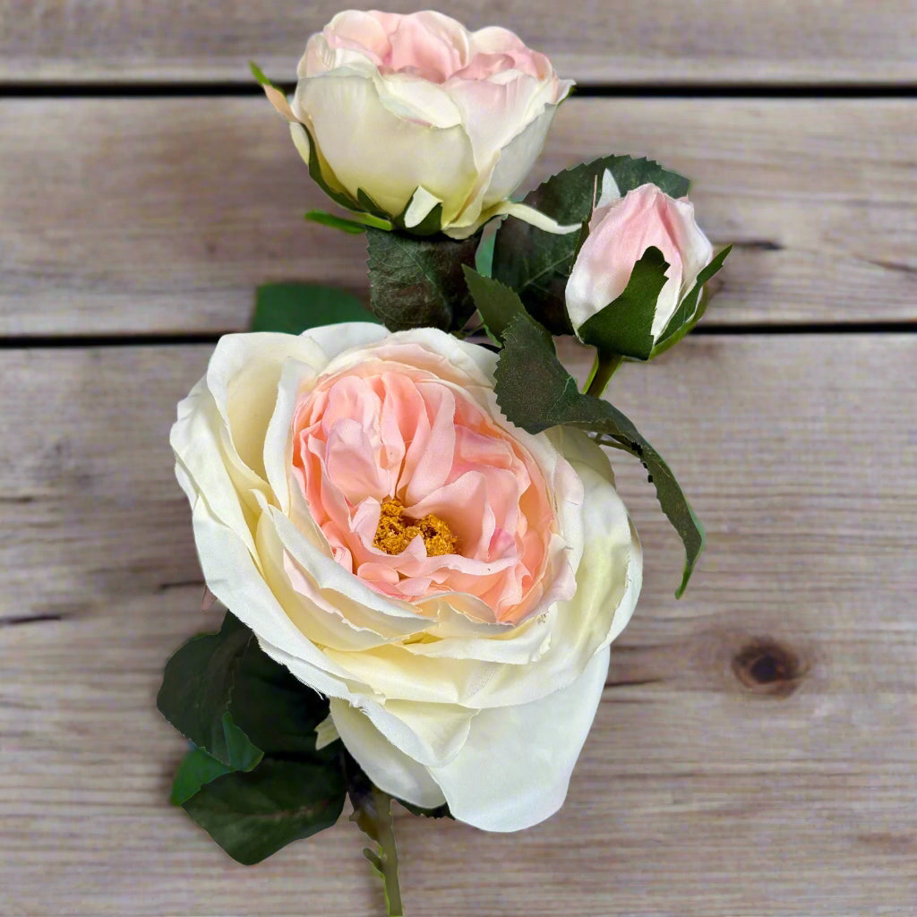 Aerial close-up of the pink charity rose flower showing the petal detail on a wooden surface.