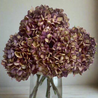 Autumn Burgundy Hydrangea