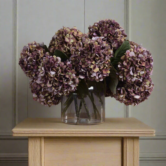Autumn Burgundy Hydrangea