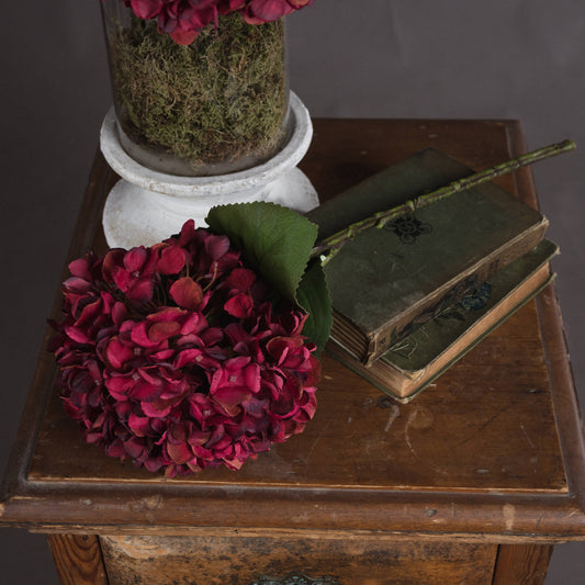 Autumn Ruby Hydrangea    (Save 20%)