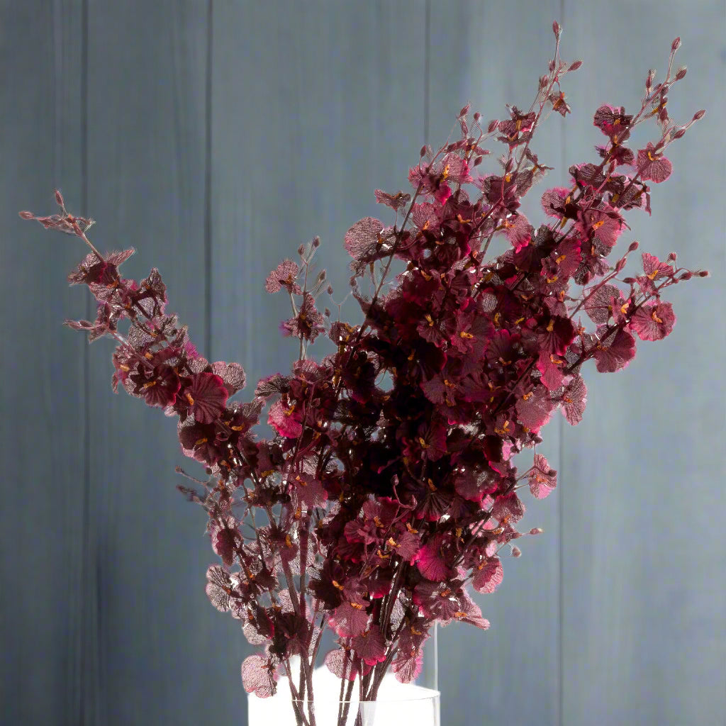 Deep Burgundy Orchid Spray