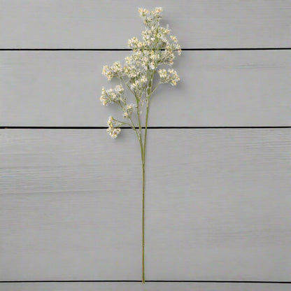 White Gypsophila Spray