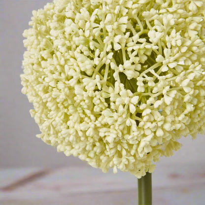 Cream Allium Stem