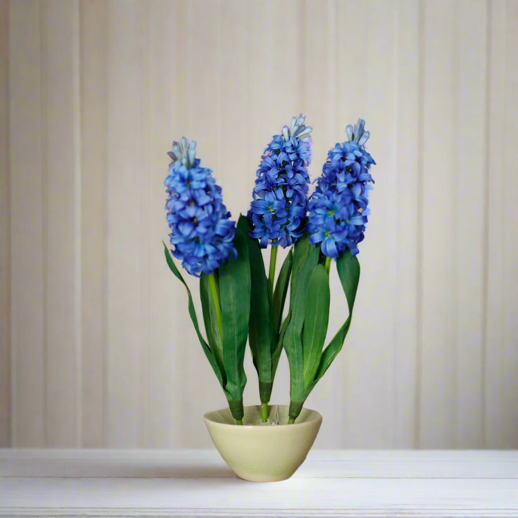 Blue Hyacinth Stem
