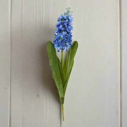 Blue Hyacinth Stem