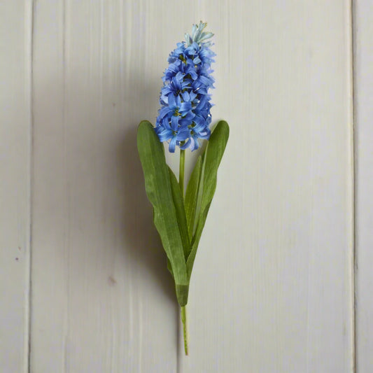 Blue Hyacinth Stem