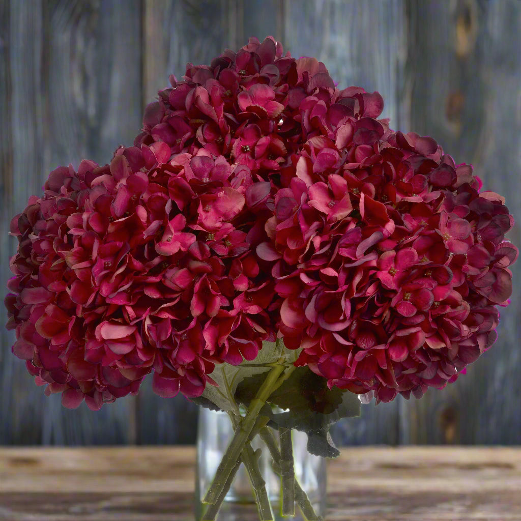 A bouquet of autumn ruby hydrangeas in a glass vase against a rustic wooden background.