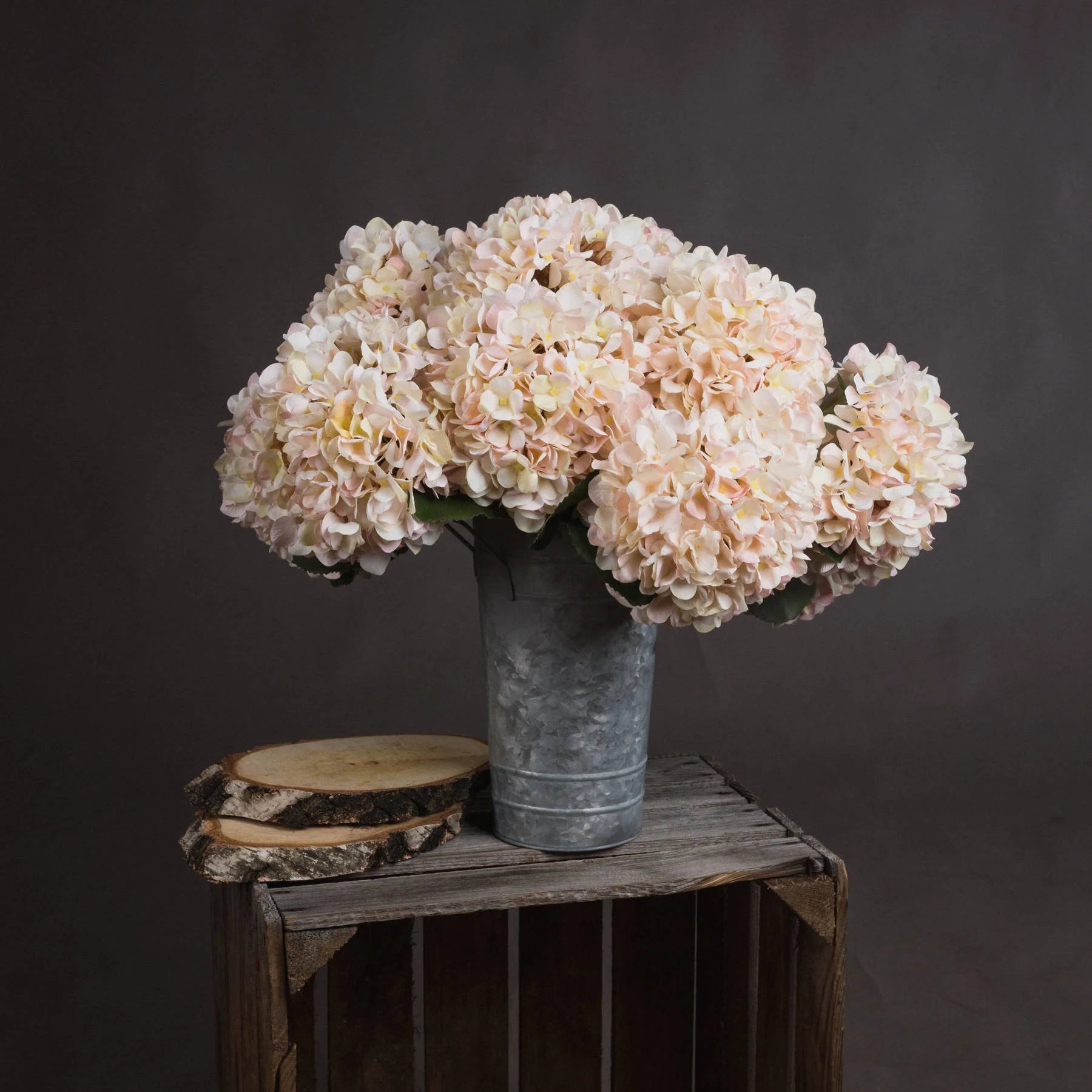 Bouquet of Autumn White Hydrangea in an iron vase against a grey background.