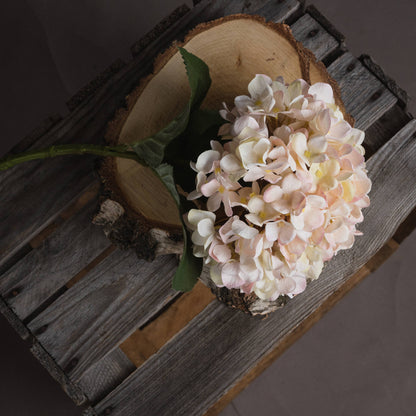 Top-down view of Autumn White Hydrangea bouquet styled on rustic wood slices – perfect for flatlay or seasonal decor inspiration.