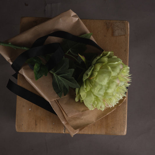 Top-down view of one green peony stem on manilla paper and wooden surface.