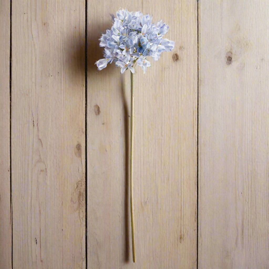 Front view of a single agapanthus stem leaning on a wooden wall.
