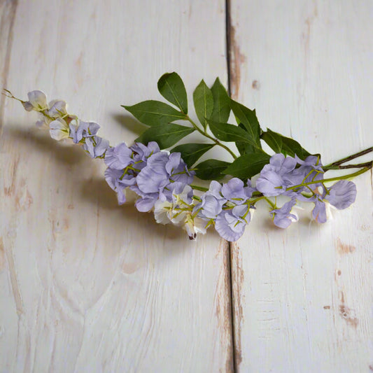 Overhead shot of lilac wisteria flowers in full bloom.