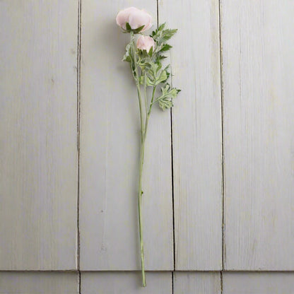 Two pastel pink ranunculus stems with green foliage, ideal for mixing into floral arrangements.