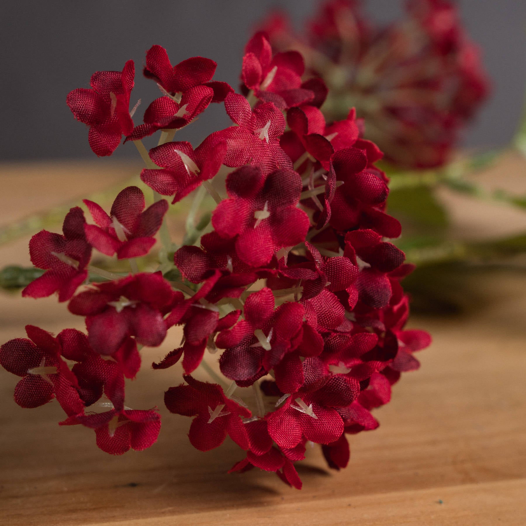 Close up shot of viburnum petals showing the rich red tones.