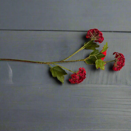 Aerial shot of one red autumnal viburnum stem lying horizontally.