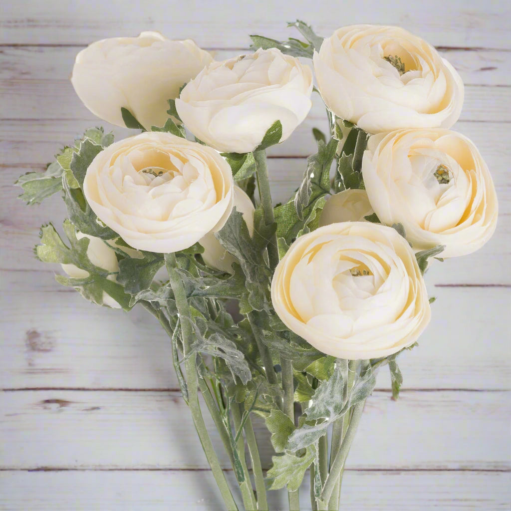 An arrangement of soft cream ranunculus flowers against a rustic wooden background.