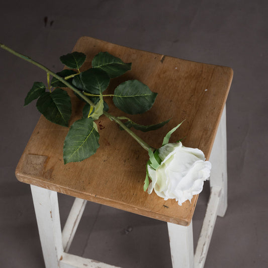 Aerial view of a single white rose stem placed on a wooden stool.